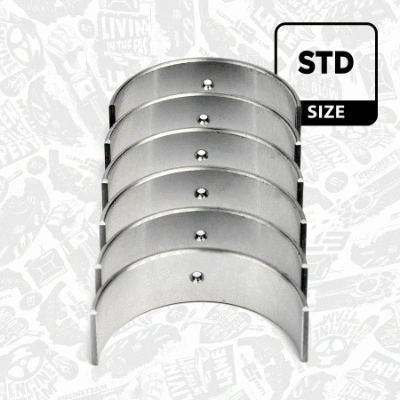 Connecting Rod Bearing Set (LP004500)