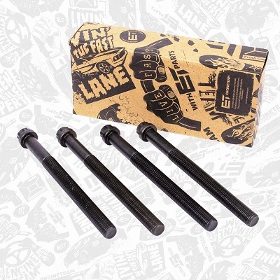 Cylinder Head Bolt Set (BS0031)