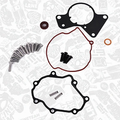 Repair Set, vacuum pump (braking system)