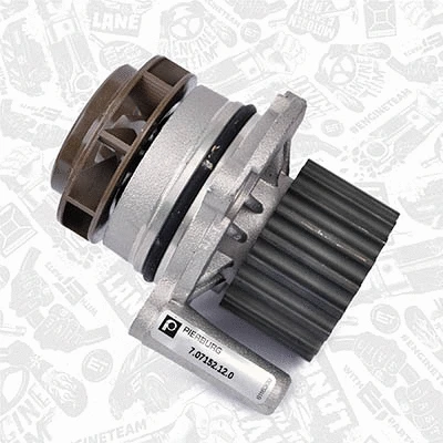 Water Pump & Timing Belt Kit