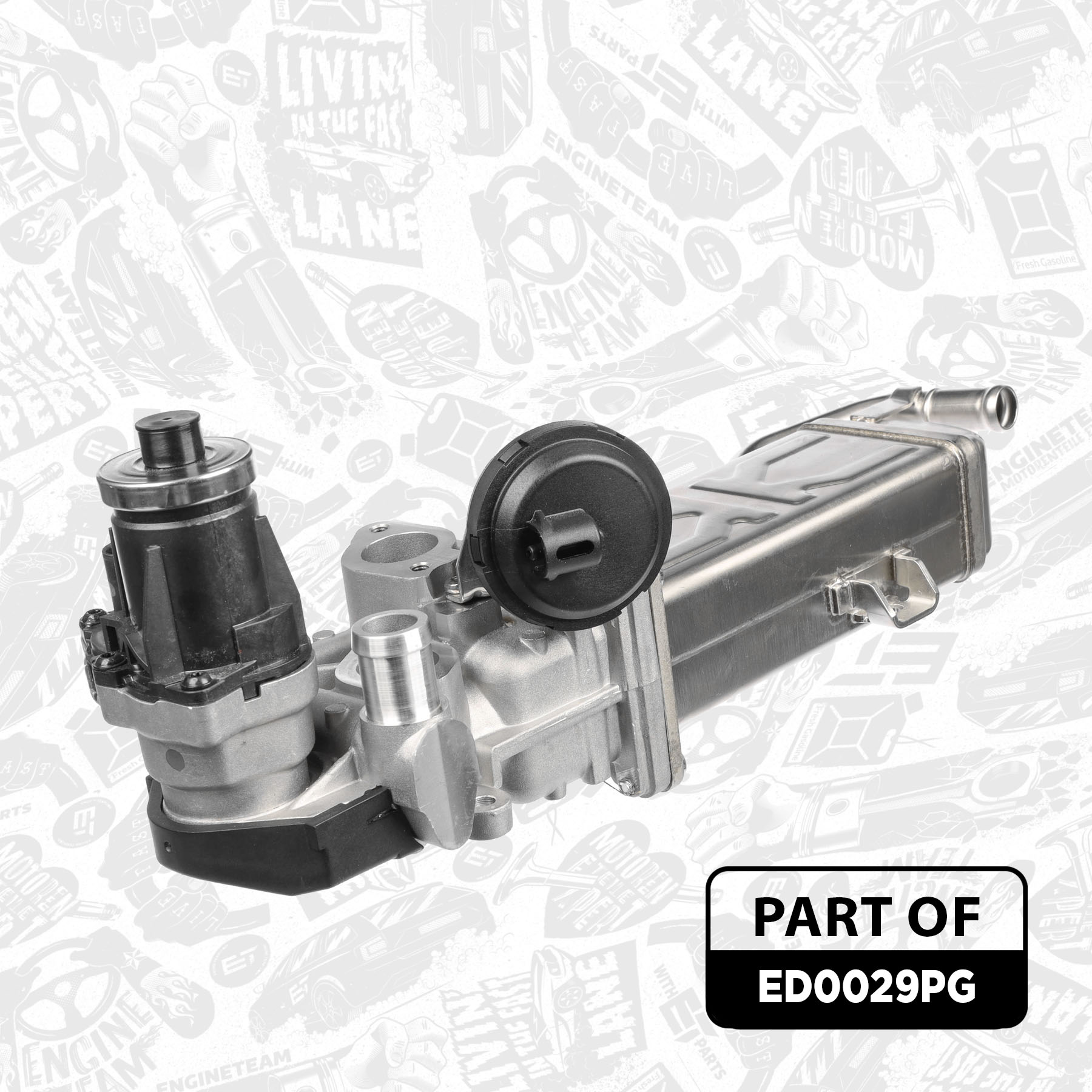 EGR Valve