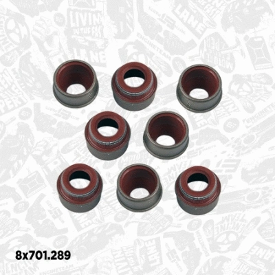 Valve Kit, intake/exhaust valve