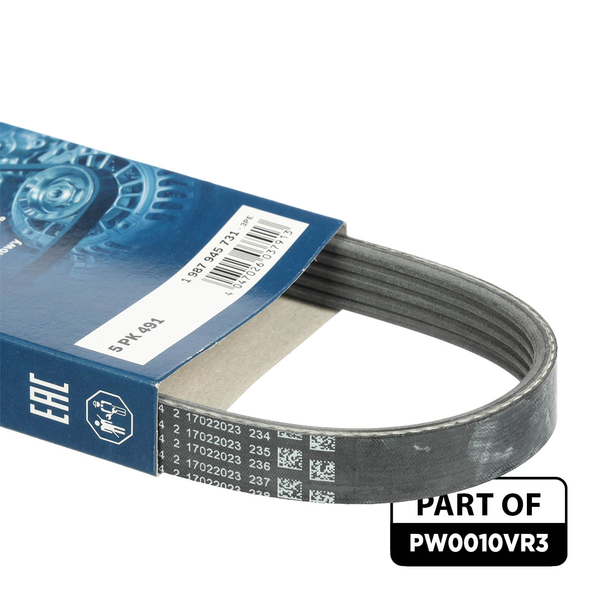 Water Pump + V-Ribbed Belt Kit