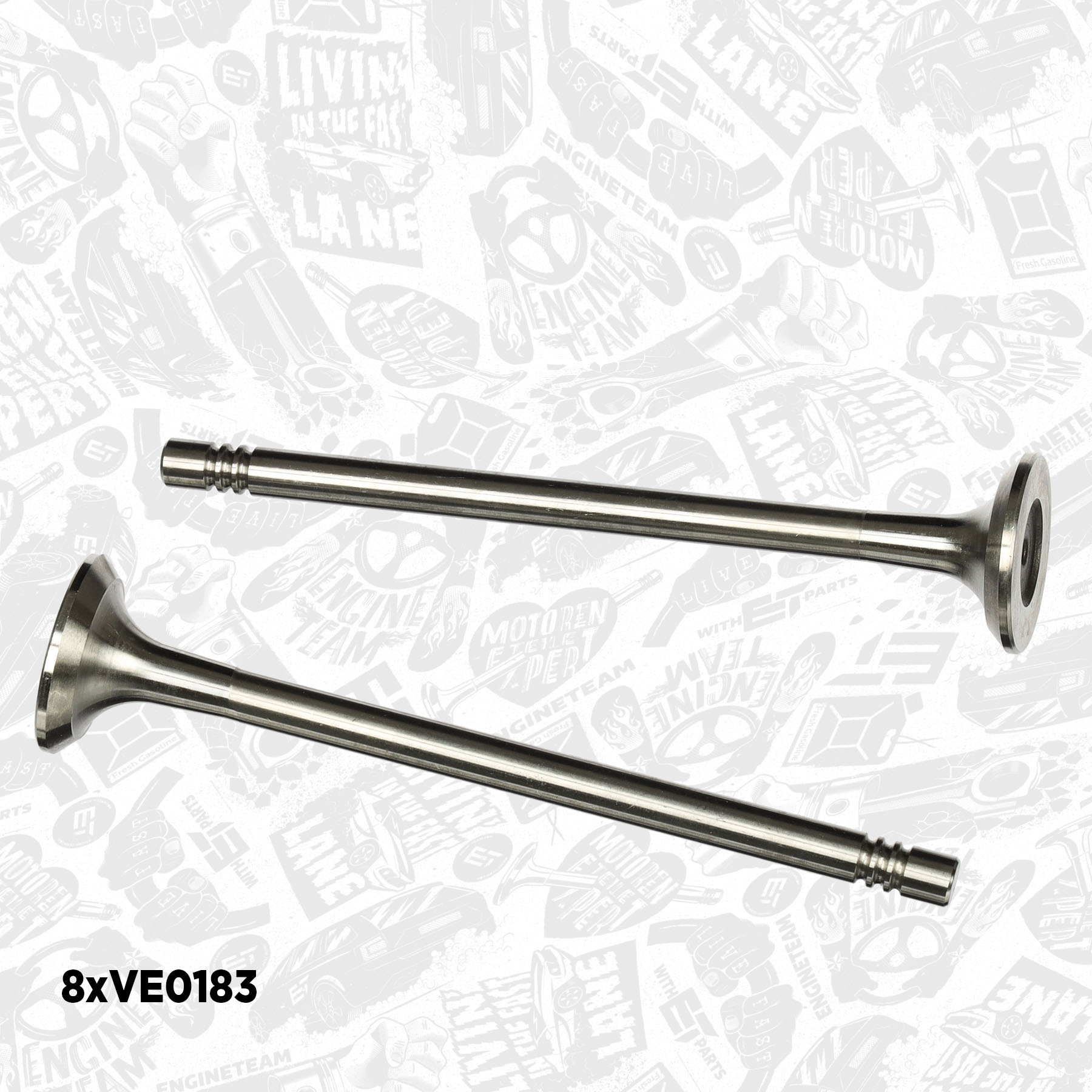 Valve Kit, intake/exhaust valve