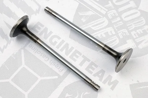 Exhaust Valve