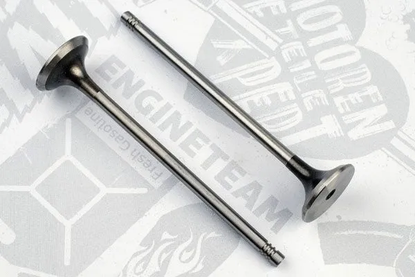 Exhaust Valve