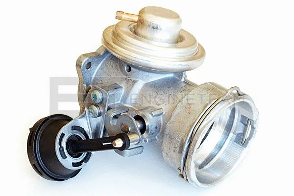 EGR Valve (ED0006)