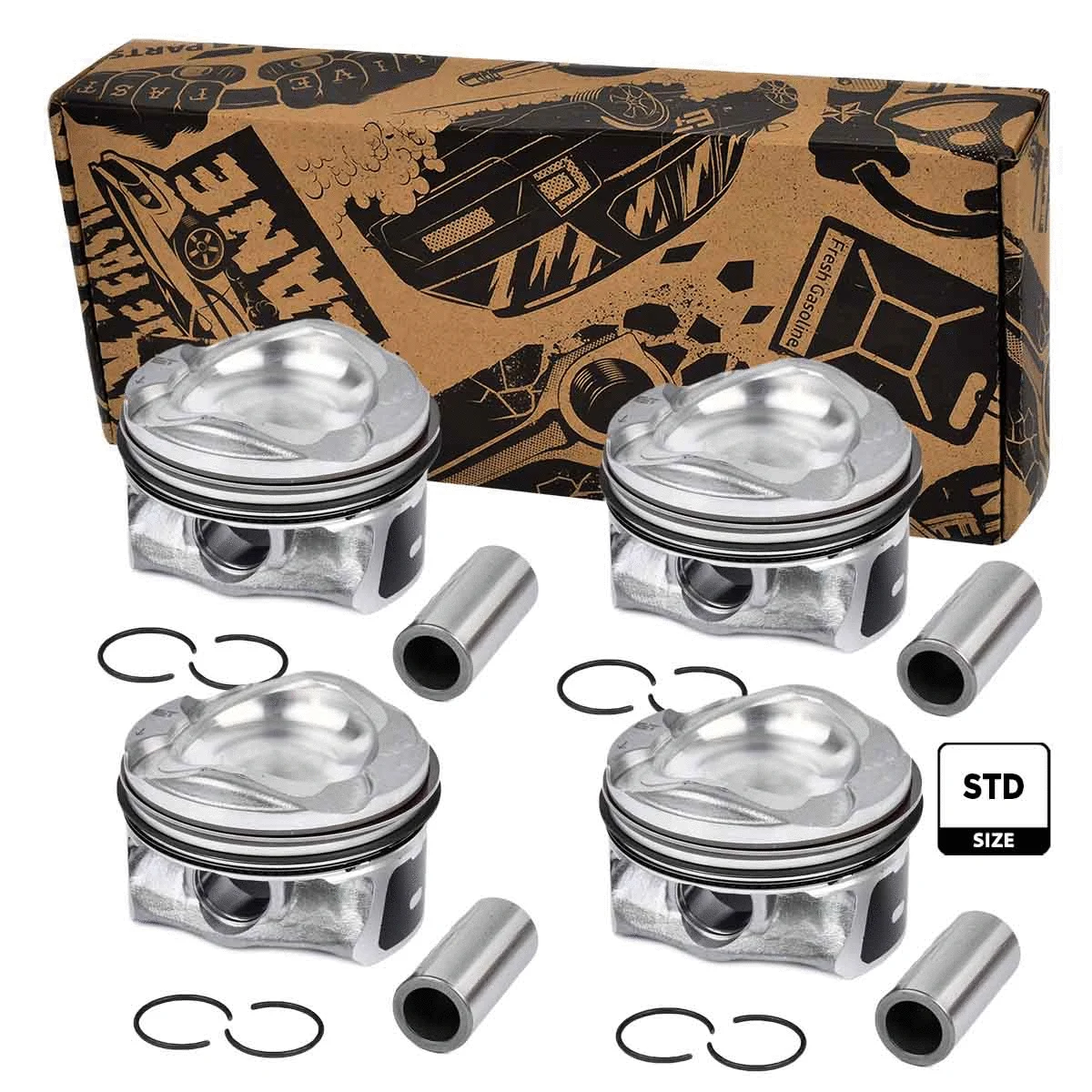 Piston Set (PM008400VR1)