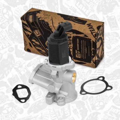 EGR Valve (ED0119)
