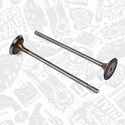 Intake Valve