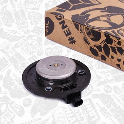 Central Magnet, camshaft adjustment (CV0029)