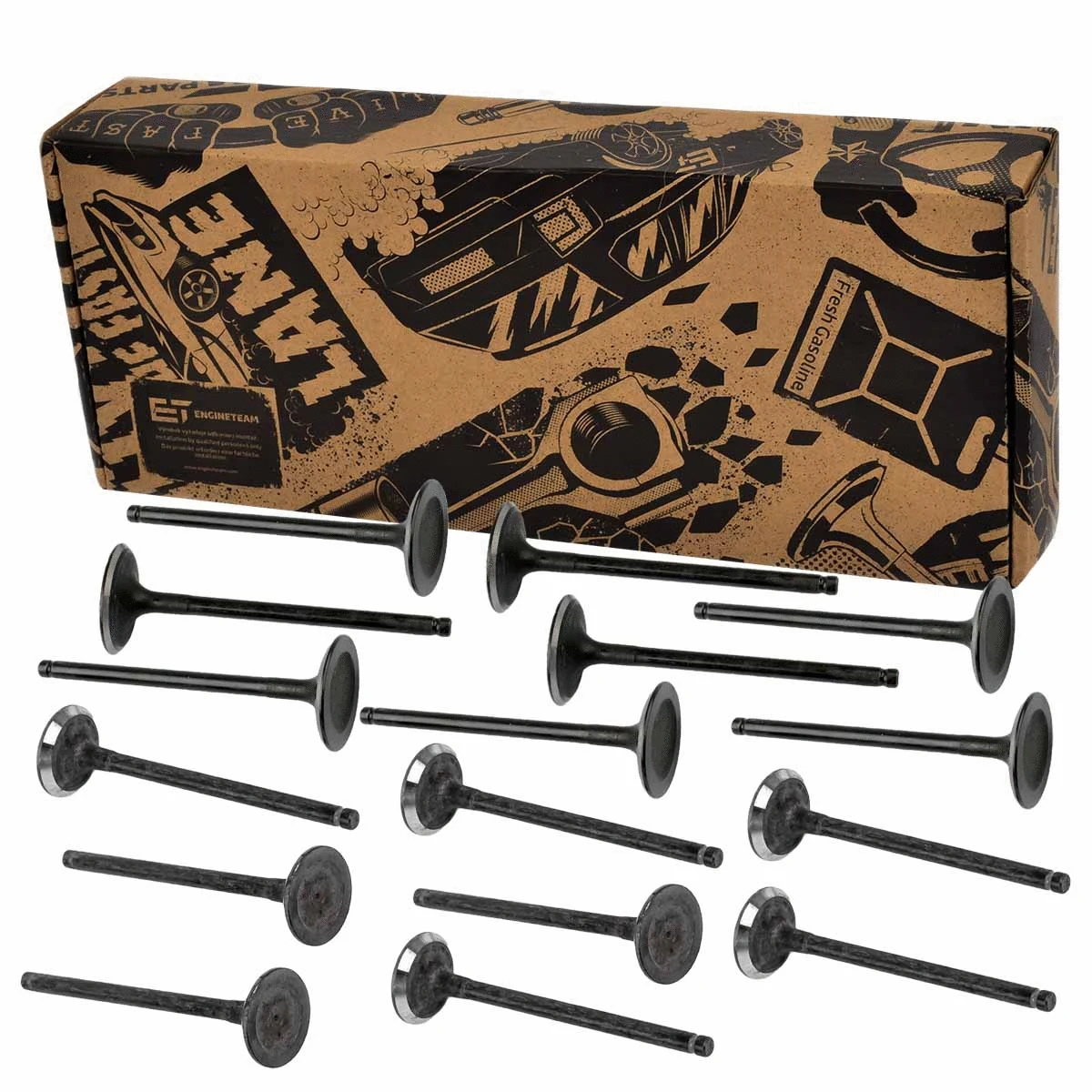 Valve Kit, intake/exhaust valve (VS0019)