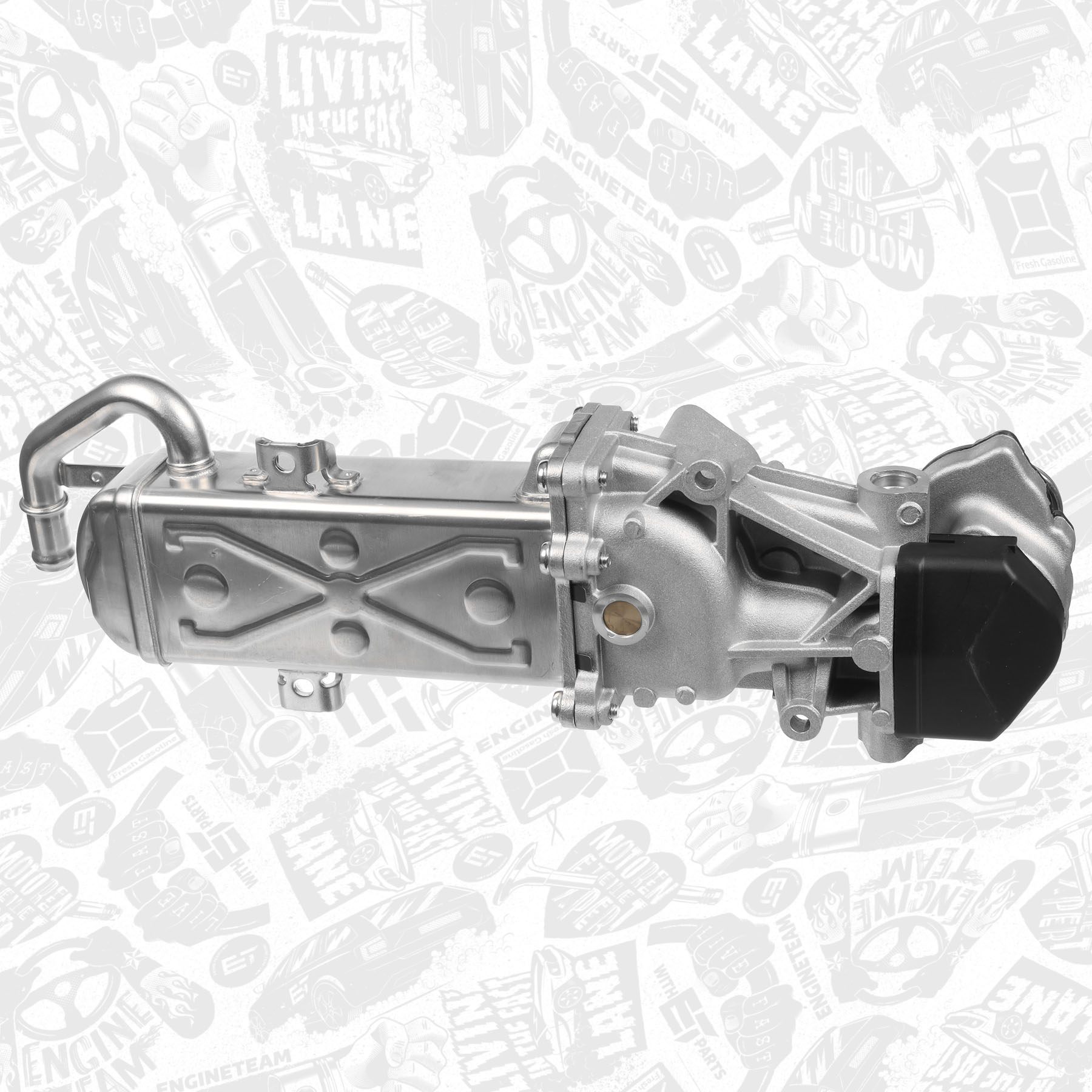 EGR Valve