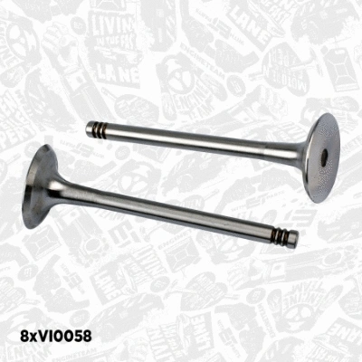 Valve Kit, intake/exhaust valve
