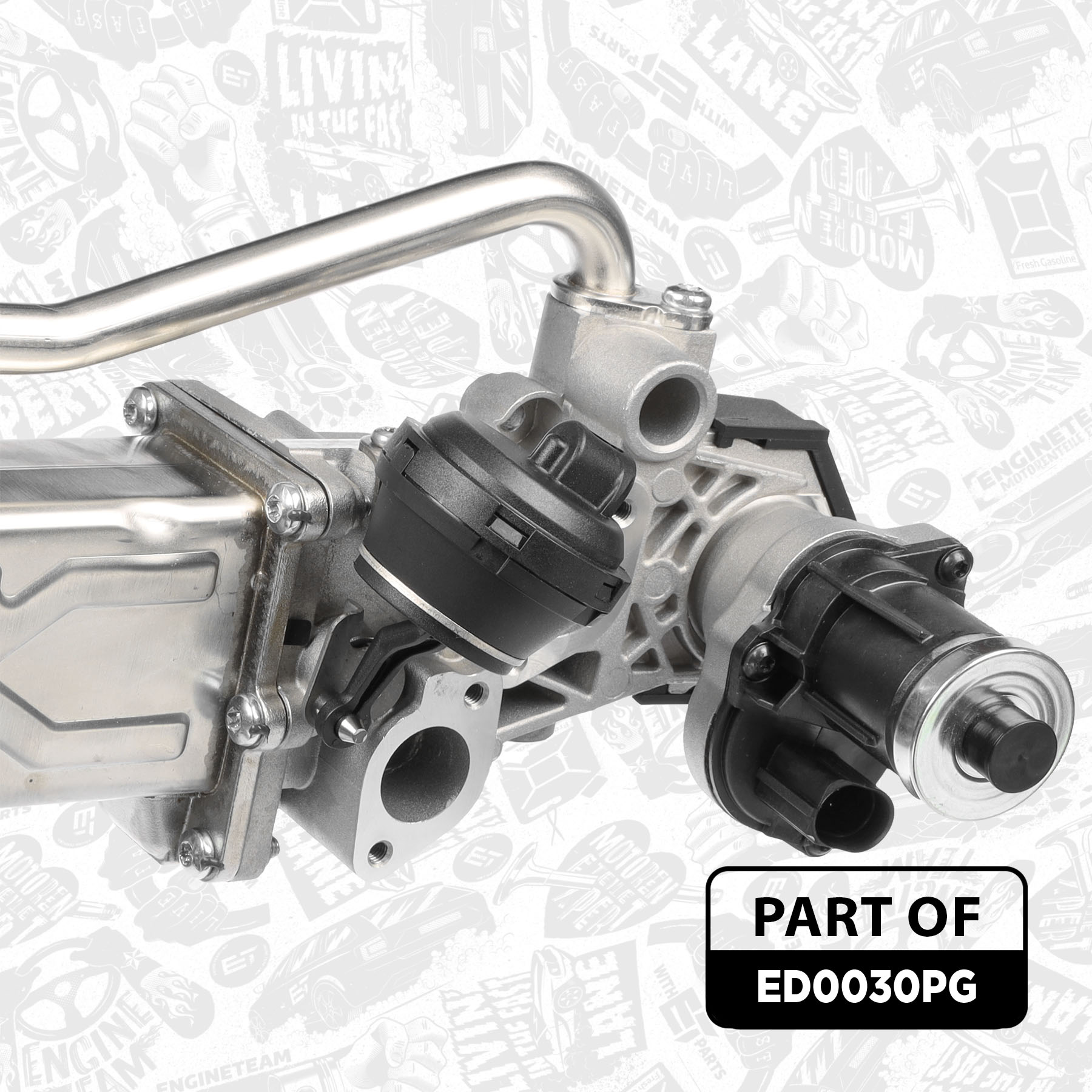 EGR Valve