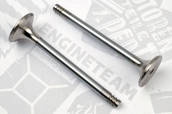 Exhaust Valve