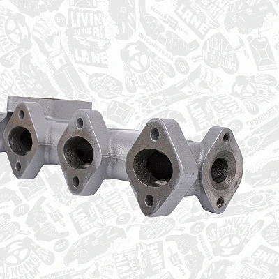 Manifold, exhaust system