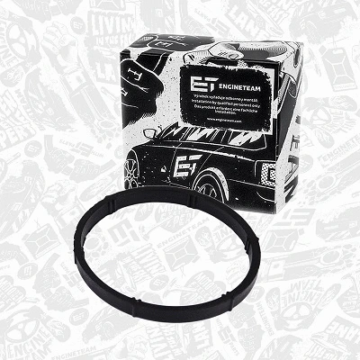 Gasket, intake manifold