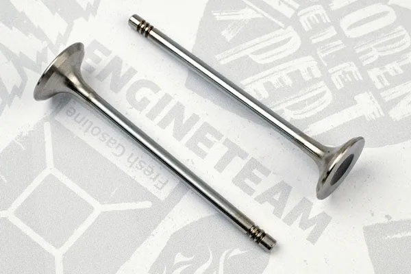 Exhaust Valve