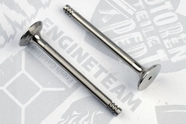 Exhaust Valve