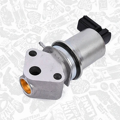 EGR Valve
