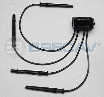 Ignition Coil (111.002)