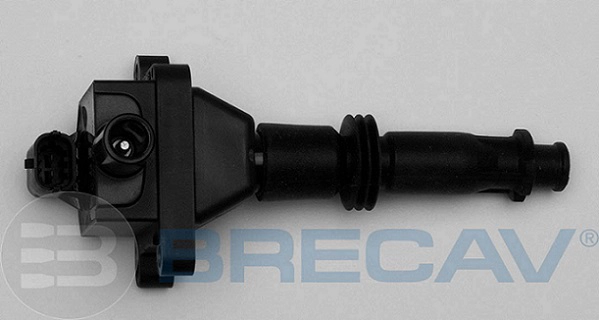 Ignition Coil (101.002)