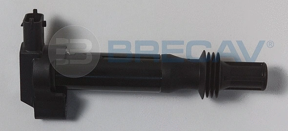 Ignition Coil (110.022)