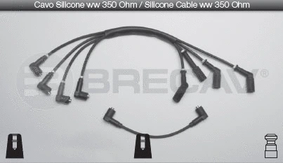 Ignition Cable Kit (07.524)