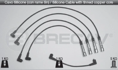 Ignition Cable Kit (30.501)