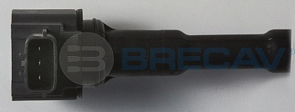 Ignition Coil (111.010)