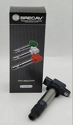 Ignition Coil (125.005)