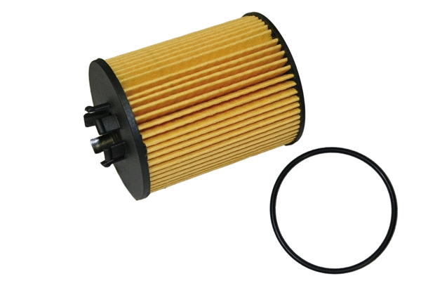 Oil Filter (1801.0081036)