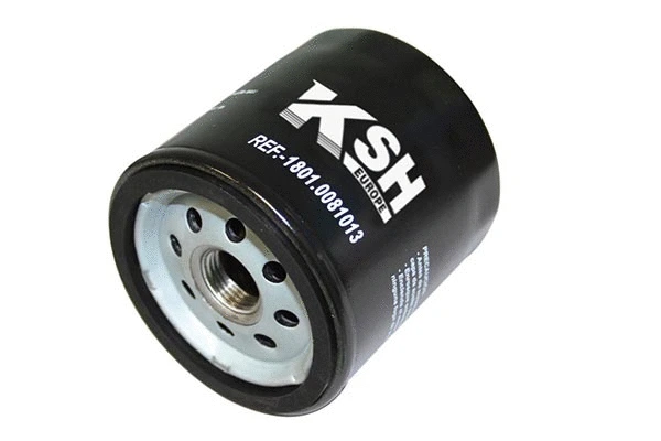 Oil Filter (1801.0081013)