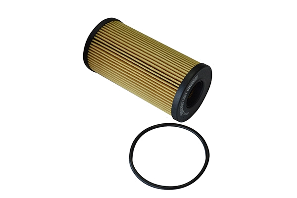 Oil Filter (1801.0081068)