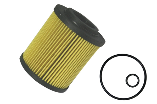 Oil Filter (1801.0081037)