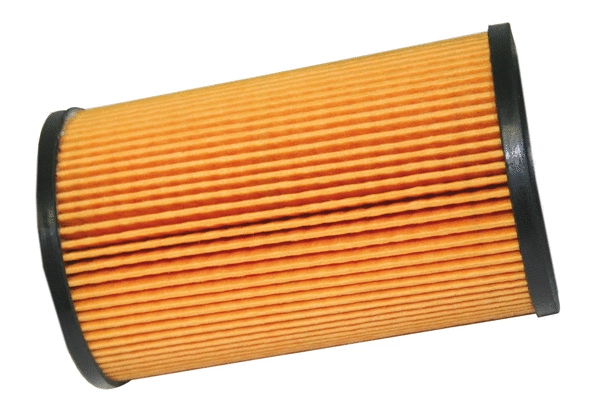 Oil Filter (1801.0081049)