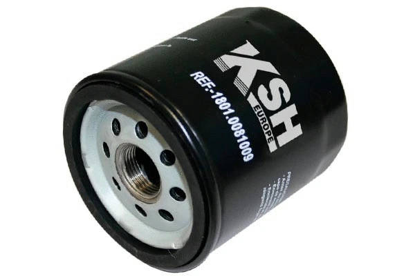 Oil Filter (1801.0081009)