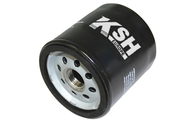 Oil Filter (1801.0081062)