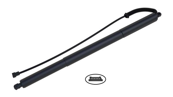 Electric Motor, tailgate (1849.0049005)