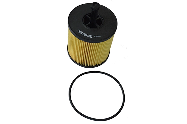 Oil Filter (1801.0081067)
