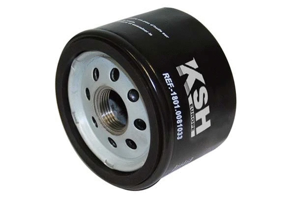 Oil Filter (1801.0081033)
