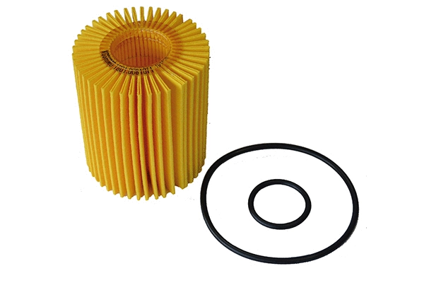 Oil Filter (1801.0081071)