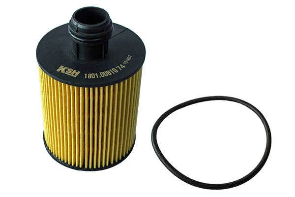 Oil Filter (1801.0081074)
