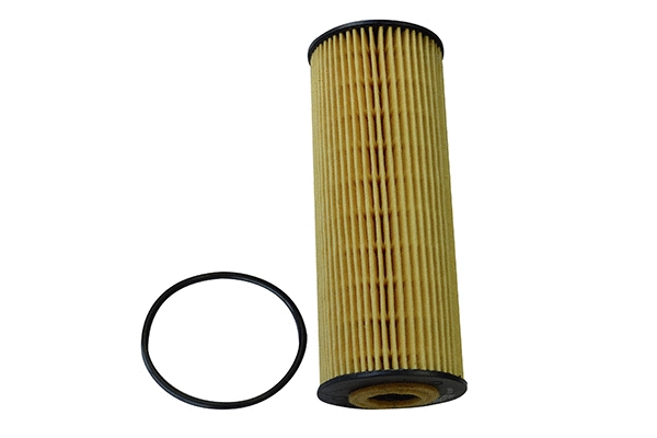 Oil Filter (1801.0081066)