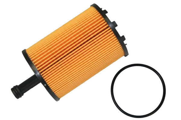 Oil Filter (1801.0081004)