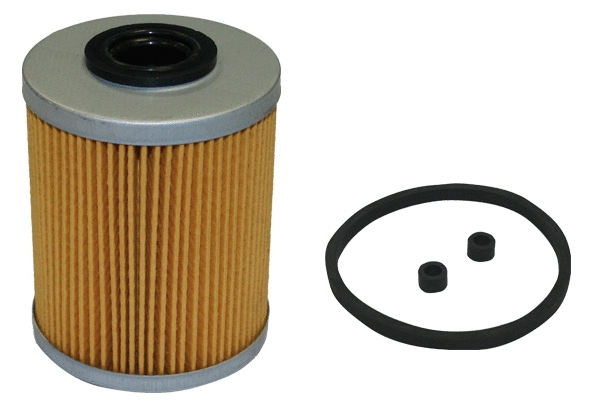 Fuel Filter (1804.0084066)
