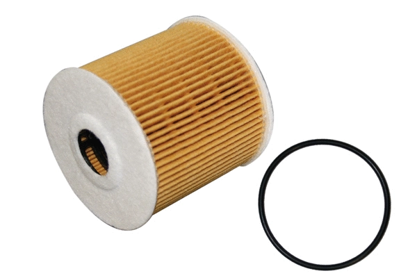 Oil Filter (1801.0081035)