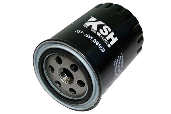 Oil Filter (1801.0081020)