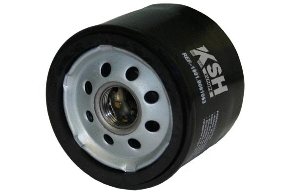 Oil Filter (1801.0081053)